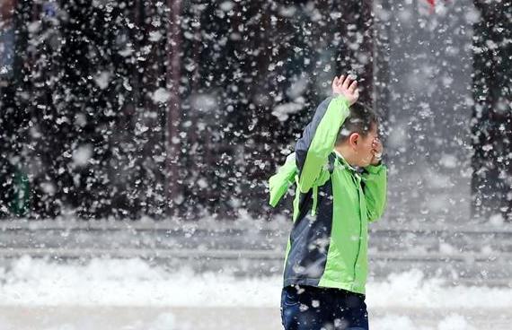 楊柳絮對(duì)空氣源熱泵的危害及清理方法